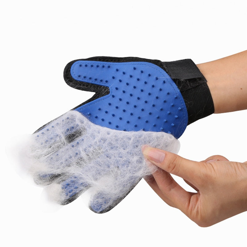 Glove Brush