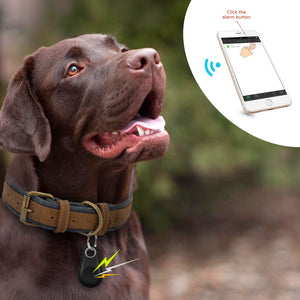 Smart Pet GPS