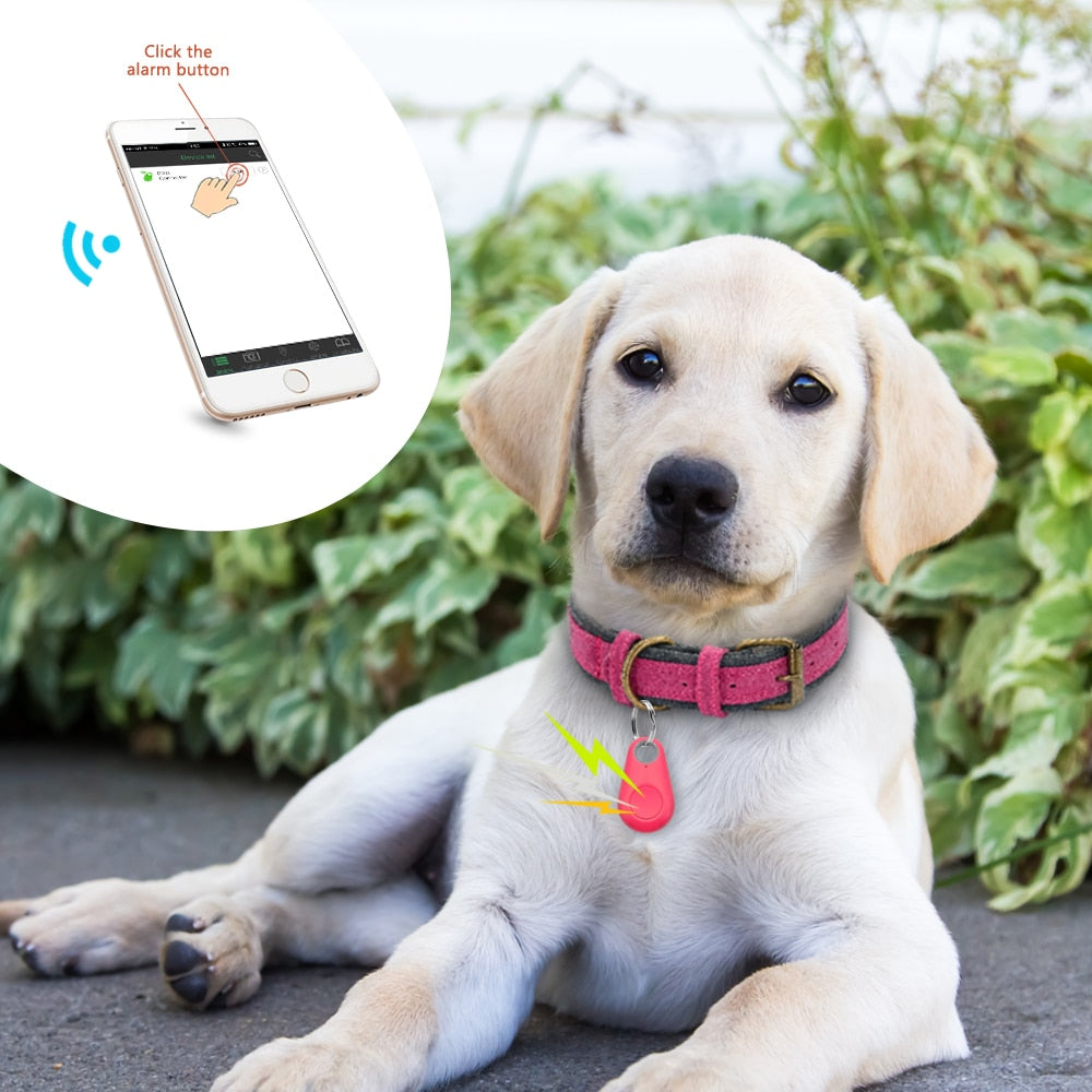 Smart Pet GPS