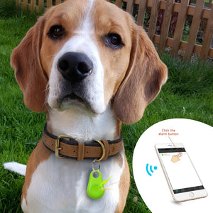 Smart Pet GPS