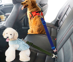 Pet Seat Harness