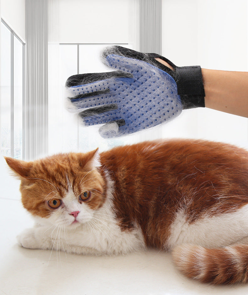 Glove Brush